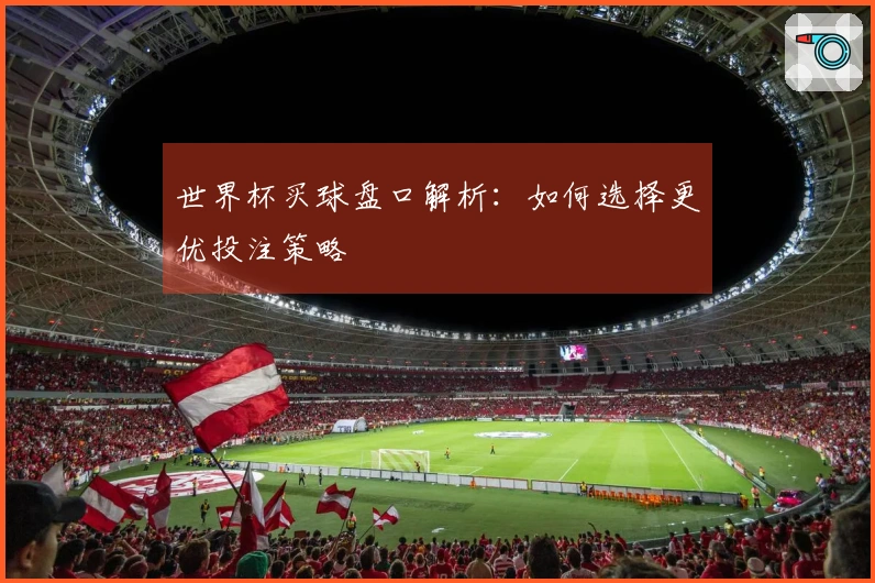 世界杯买球盘口解析：如何选择更优投注策略