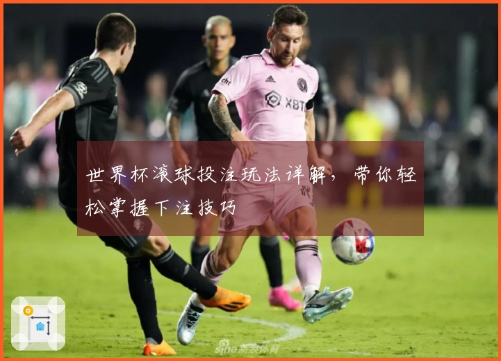 世界杯滚球投注玩法详解，带你轻松掌握下注技巧
