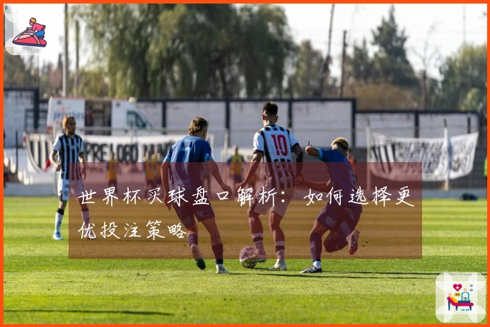 世界杯买球盘口解析：如何选择更优投注策略
