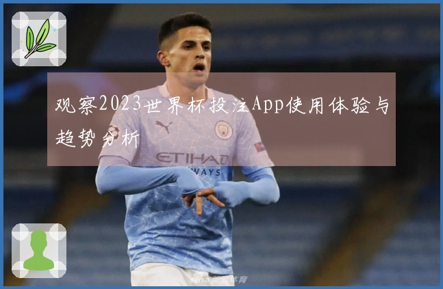 观察2023世界杯投注App使用体验与趋势分析